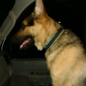 Meet your Posher, Jesse